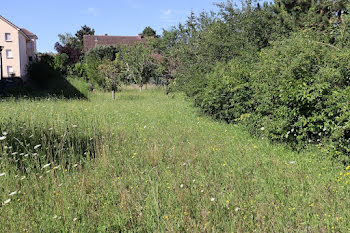 terrain à Auxerre (89)