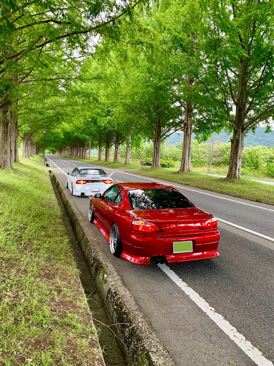 180SXのs15シルビア・今回のコラボは紅白です・当時の仲間との再会・メタセコイア並木・短編動画ありに関するカスタム事例の投稿画像2枚目