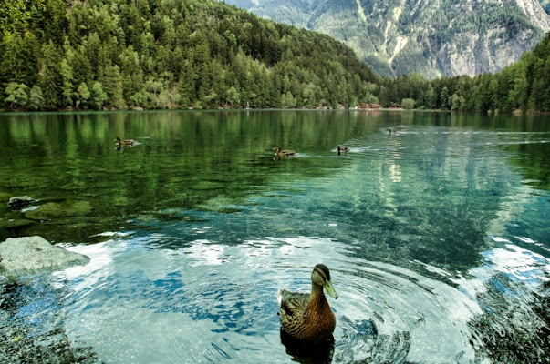 Lago alpino di manu70