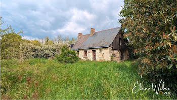 maison à Pellouailles-les-Vignes (49)