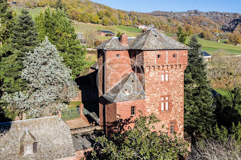 château à Villecomtal (12)