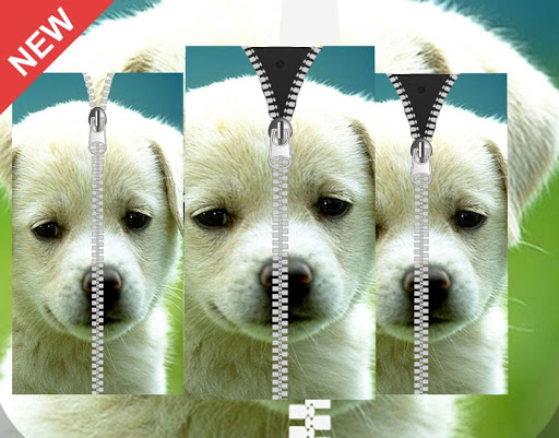 Dog Puppy Zipper Lock Screen