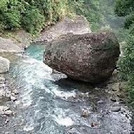 森鄰水岸景觀咖啡館