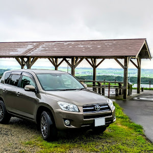 RAV4 ACA31W