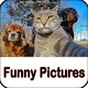 Download Funny Pictures Jokes For PC Windows and Mac 1.0