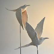 Artist Lindy Rodwell van Hasselt's bird sculptures are inspired by her fascination with the natural world.