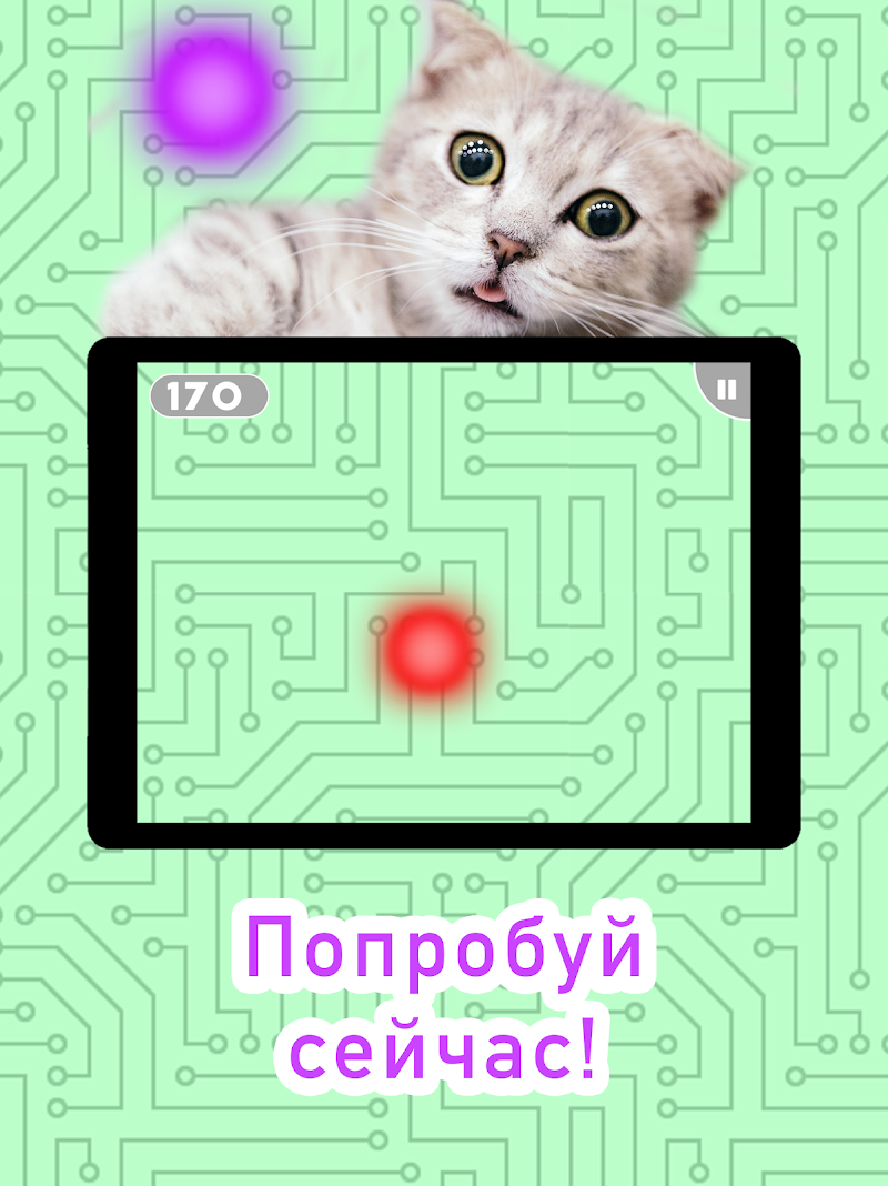 Скриншот Игры для кошек! Кошка Рыбалка Мышь! Games for Cats