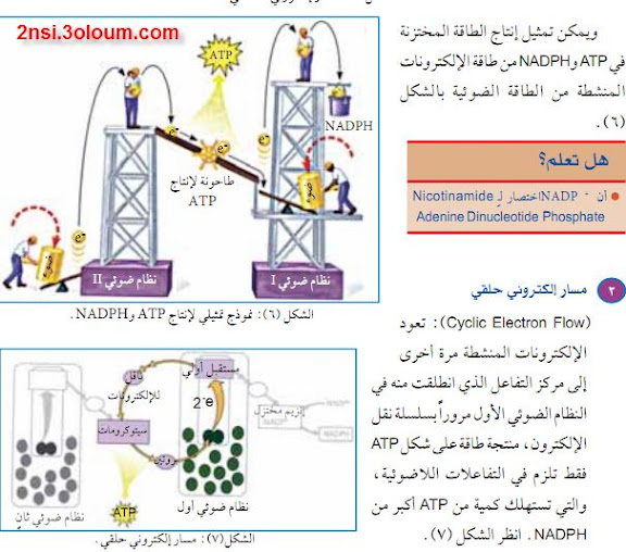 كتاب البيولوجياء la biologie 9