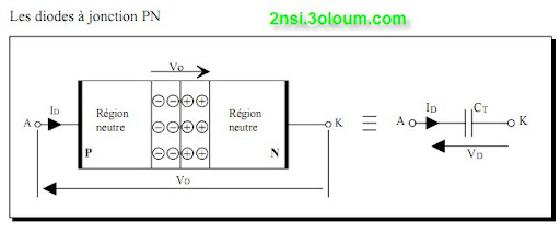 Les Semiconducteurs 3