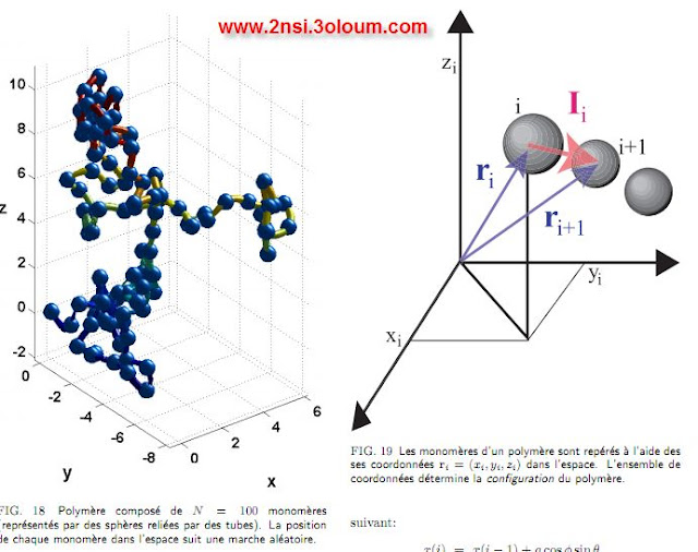 biophysique 3