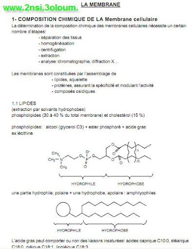 physicochimie de l'eau et des solutions transfert membranaire 2