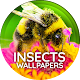 Wallpapers with insects Download on Windows