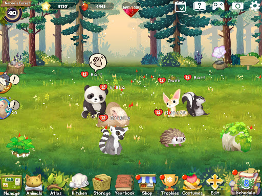 Animal Forest : Fuzzy Seasons