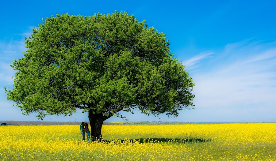 Düğün fotoğrafçısı Aurel Melinescu (infocuscraiova). 25 Mart 2018 fotoları