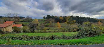 terrain à Frugières-le-Pin (43)