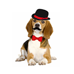 Cover Image of Download Dog Photo Editor 1.1 APK