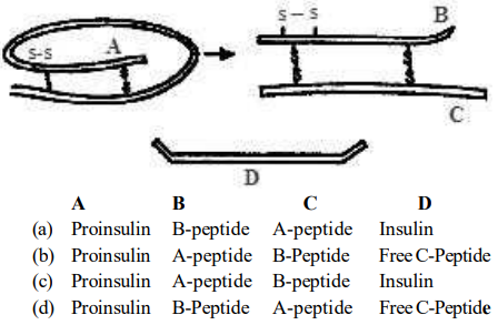 Biotechnological Applications in Medicine