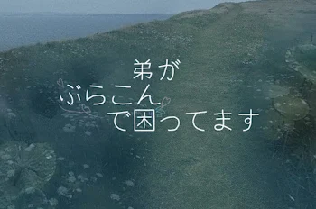 「弟がぶらこんで困ります」のメインビジュアル