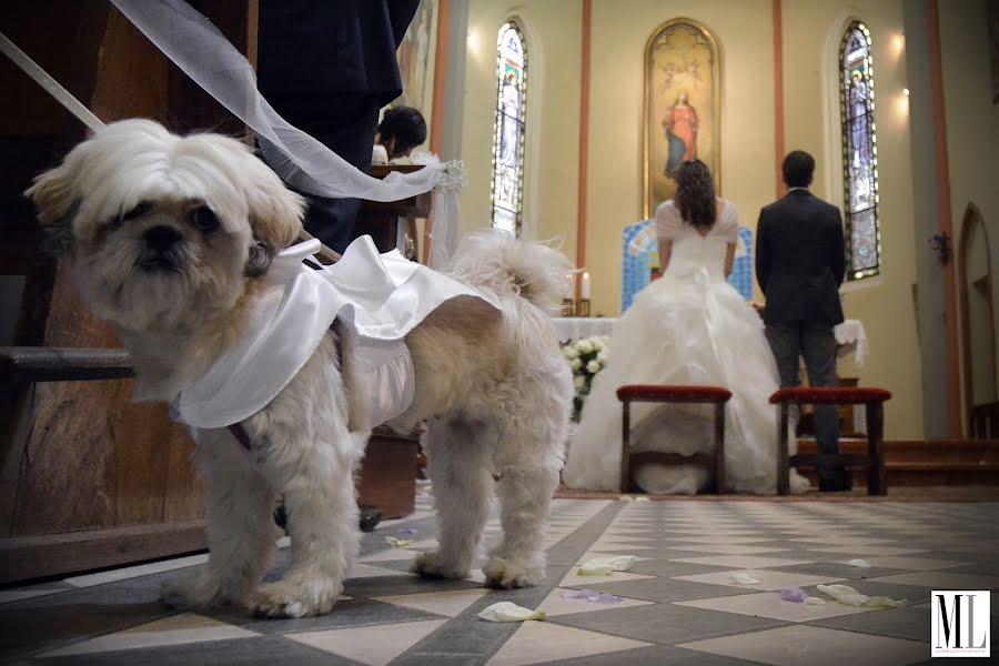 Fotografo di matrimoni Marco Lussoso (marcolussoso). Foto del 22 marzo 2017