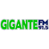 Gigante FM 91.5 (La Rioja)
