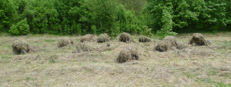 snipers