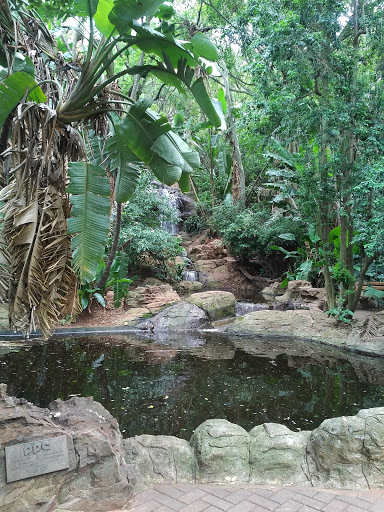 PPC Donated Waterfall Feature