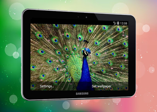 New Peacock Live Wallpaper