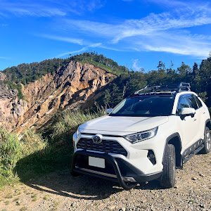 RAV4 AXAH54