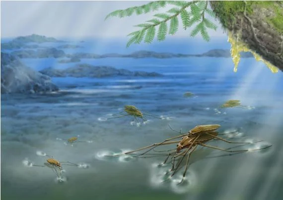 Kineski istraživači otkrili dinamiku parenja drevnih insekata u ćilibaru