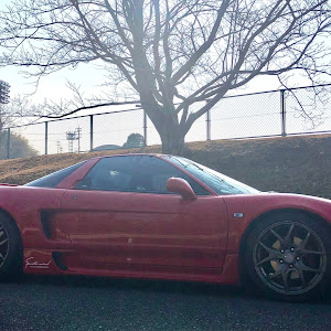 NSX NA1