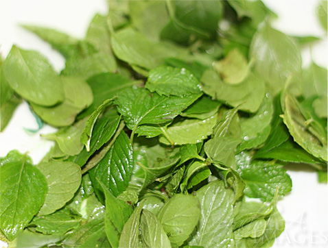 fresh mint leaves