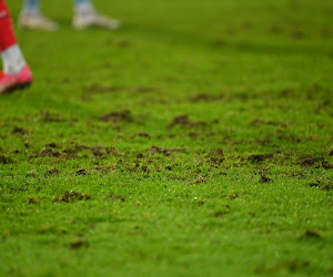 Wat is er aan de hand met het veld van Essevee? "We hadden hen hiervoor gewaarschuwd"