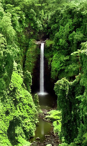 Tall and beautiful waterfall