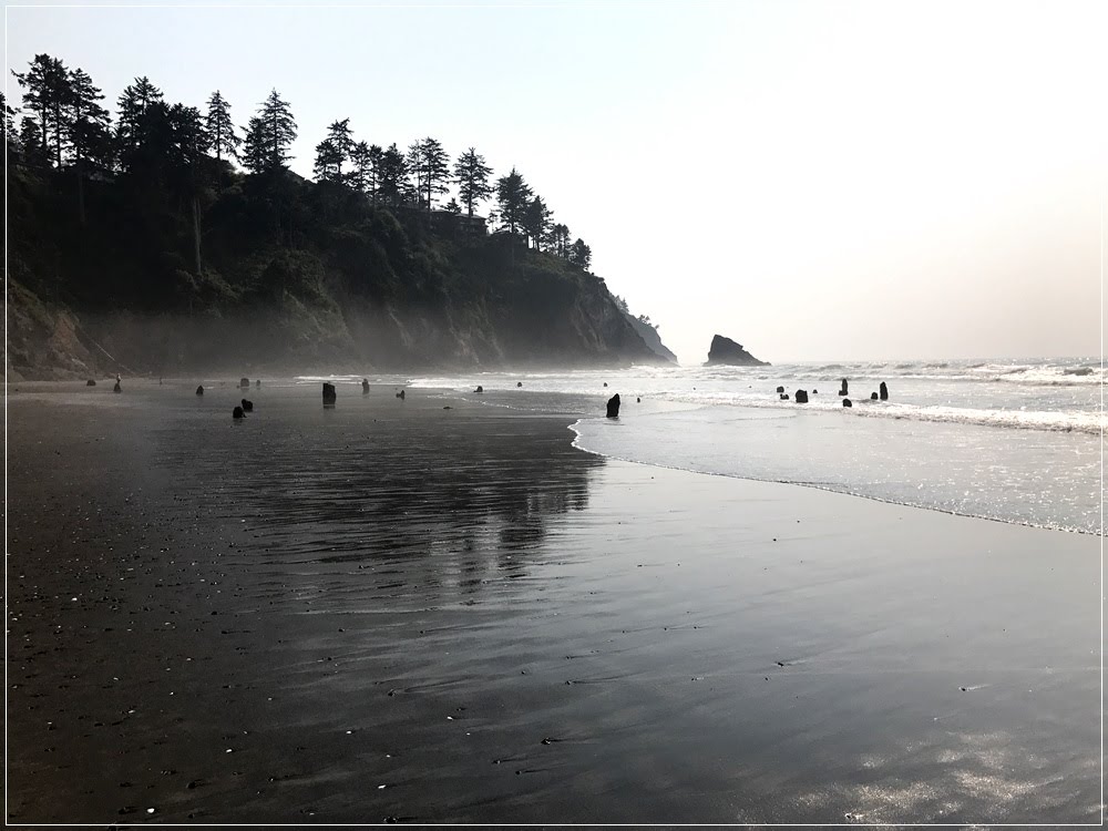 A floresta fantasma de Neskowin