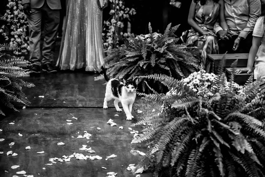 Fotógrafo de casamento Cristina Lopes (cristinalopes). Foto de 3 de outubro 2023