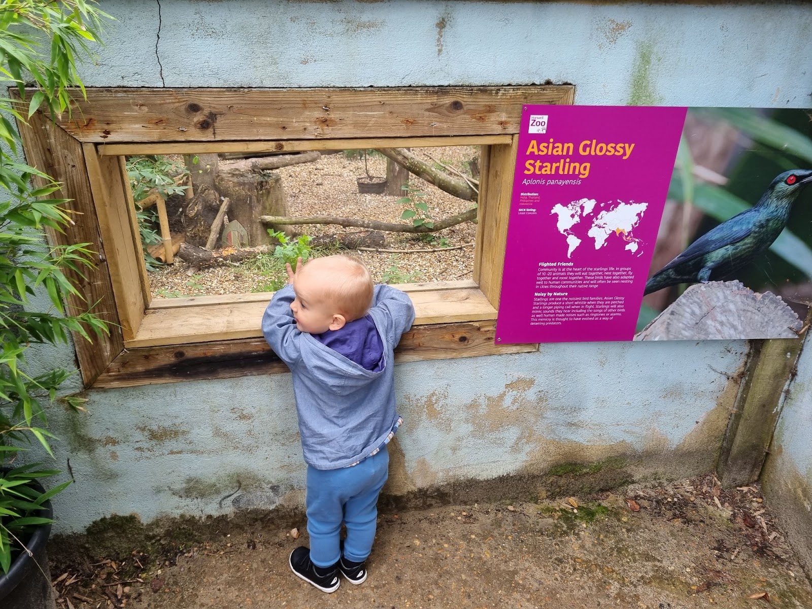 hanwell zoo