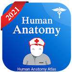 Human Anatomy Atlas - Anatomy Learning 2021 Apk