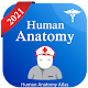 Human Anatomy Atlas - Anatomy Learning 2021 Download on Windows