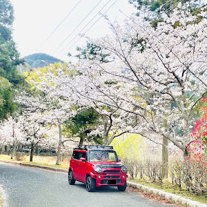 ハスラー MR31S