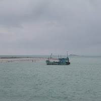 Ko tao di 