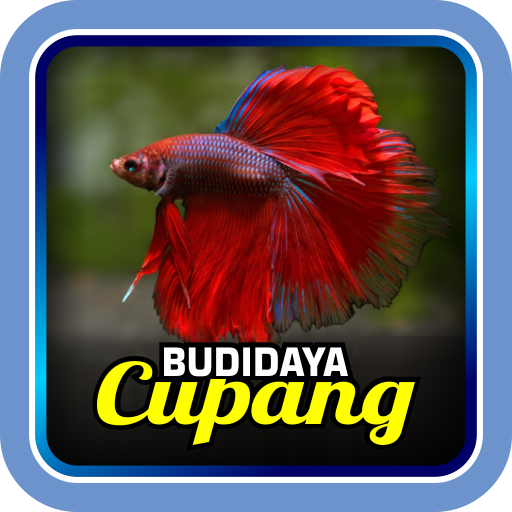 Budidaya Cupang Apl Di Google Play