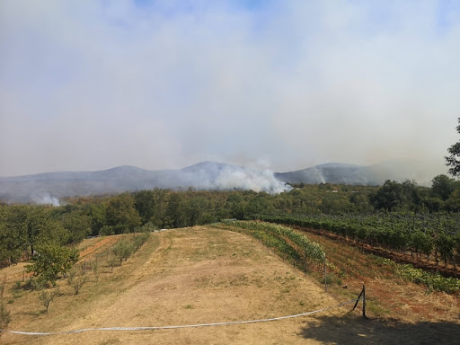 Borba s požarom na slovenačkom Krasu se nastavlja (VIDEO)