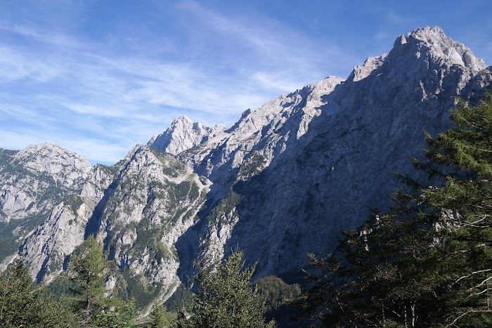 ESLOVENIA EN VERDE Y TURQUESA + VENECIA DE POSTRE - Blogs de Eslovenia - VALLE DE LOGARSKA DOLINA (8)