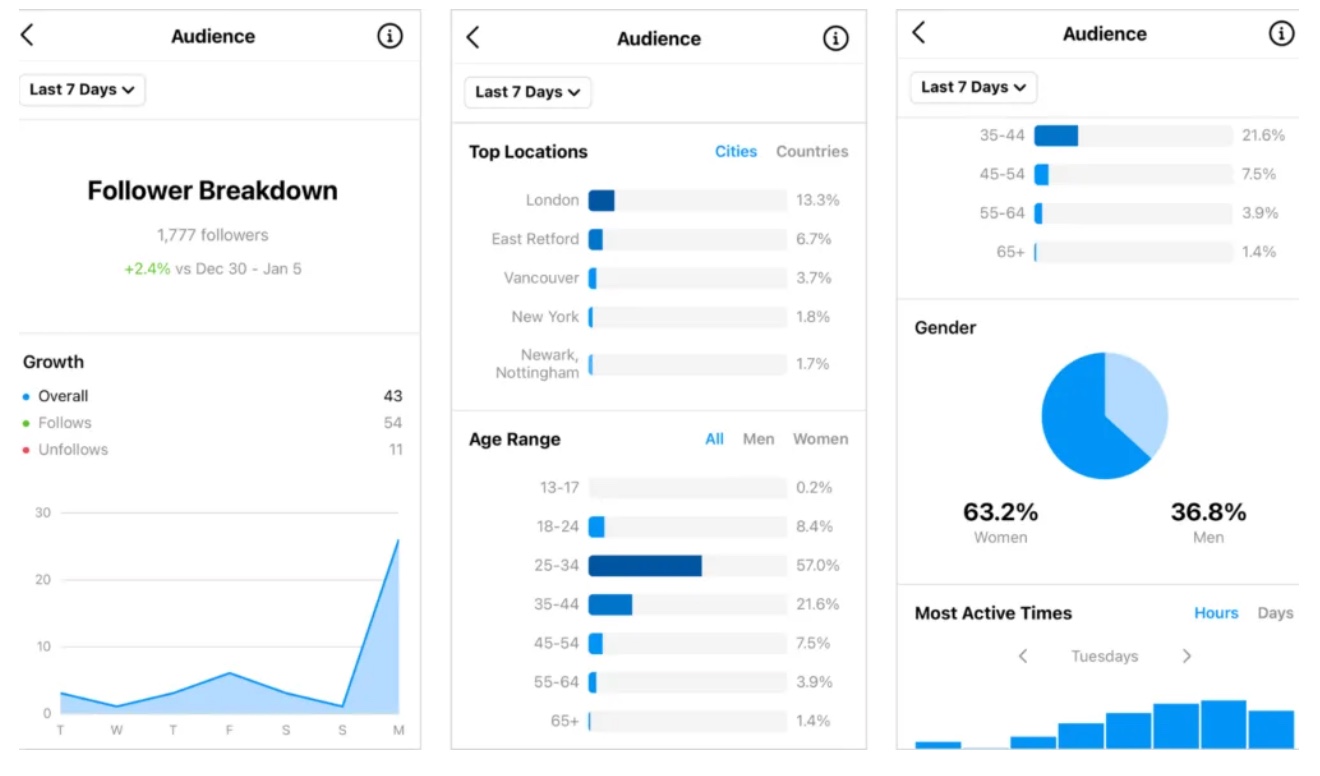 Instagram Analytics Insights Example