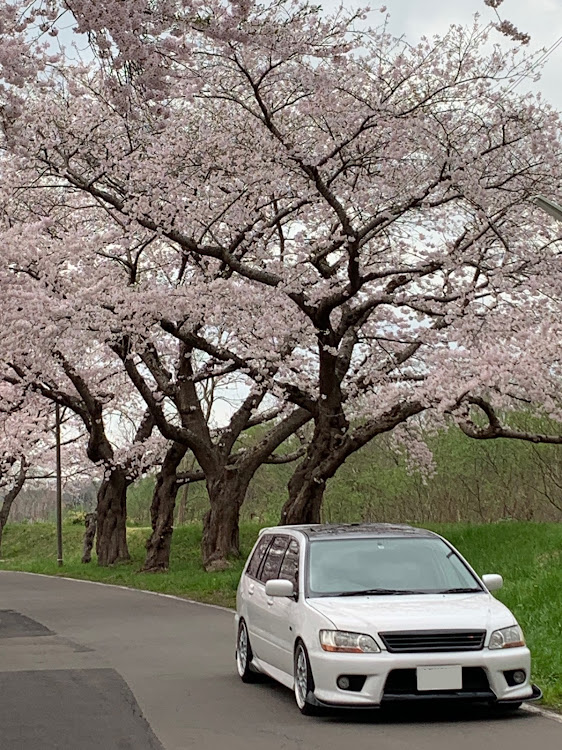 の投稿画像1枚目