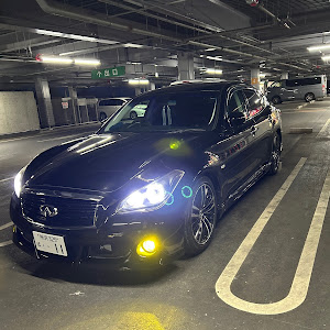フーガ Y51