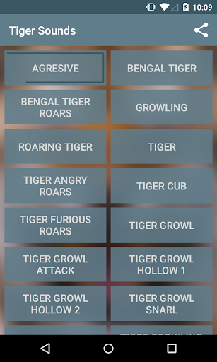 Tiger sounds