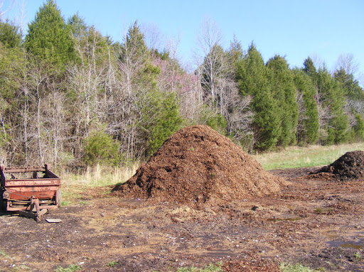 Extreme Composting - Homesteading Questions