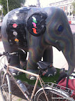 Borrow a Free Bicycle for your cycle lesson