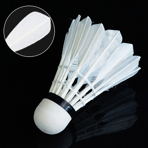 Title 7, Student Sports Training Badminton Wind Training...